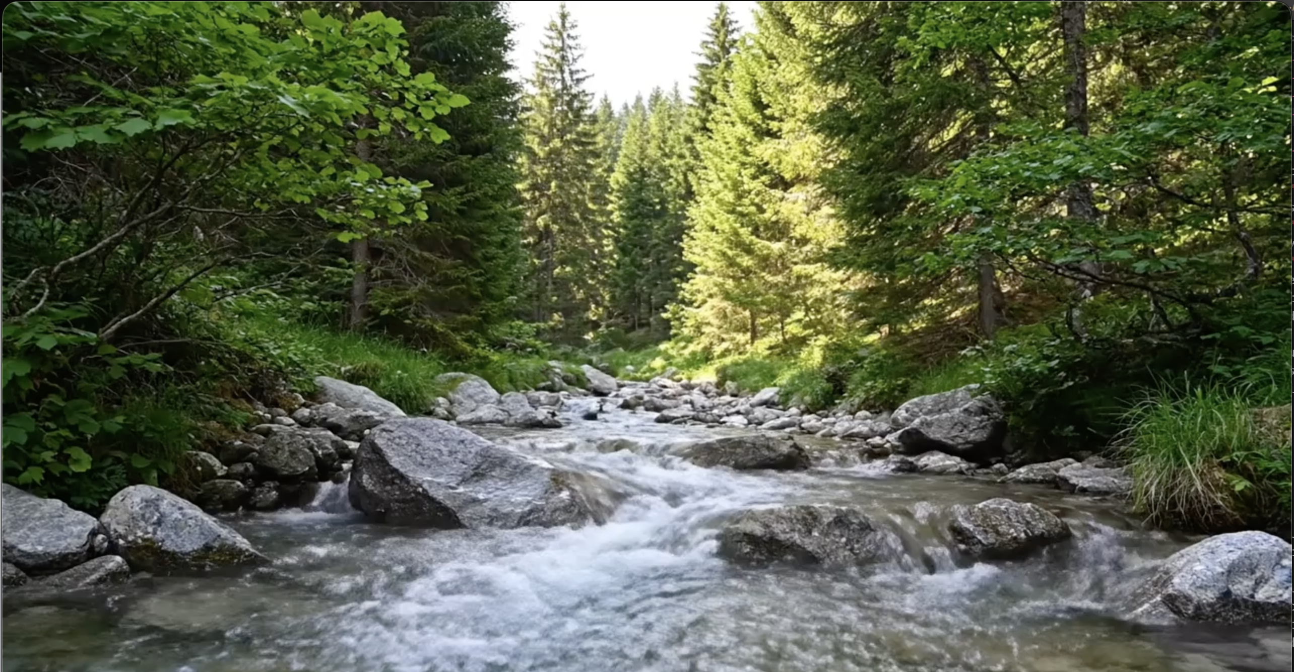 Woda butelkowana Aqua Serwis - profesjonalna dostawa wody Kielce